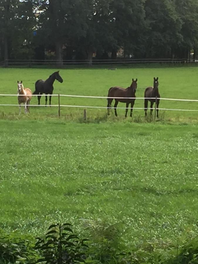 Ferienwohnung Nahe Bentheimer Wald Schuettorf Zewnętrze zdjęcie